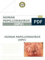 Human Papillomavirus: Divine Word College of Laoag School of Basic Education High School