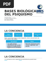 Bases Biológicas Del Psiquismo