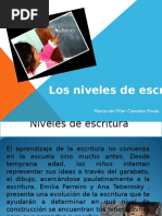  Niveles Escritura