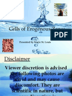 Cells of Erogenous Zones Powerpoint Final