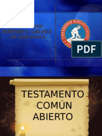 Testamento Comun Abierto