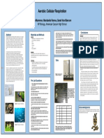 Aerobic Cellular Respiration Digital Lab Poster