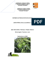 Sistema de Produccion SISTEMA DE PRODUCCIÓN ECOLÓGICA LIMÓN PERSA (Citrus Aurantifolia L.) Agroecologica Del Limon