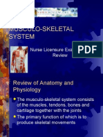 Musculoskeletal System