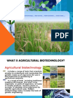 Agricultural Biotechnology