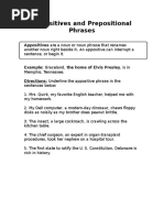 Appositives and Prepositional Phrases