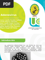 Adenovirus Microbiología