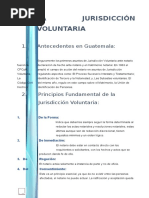 Analisis Expediente JV Intestado e Identificacion de Tercero