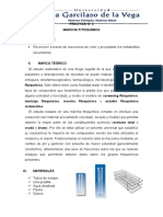 Practica #5 - Fitoquimica - Marcha Fitoquimica