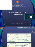 Prueba de Pozos - Unidad V Curvas Tipo