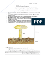 3.3 The Fungus Kingdom