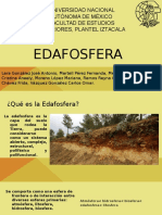 Edafosfera 