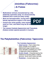 Parasitology - Cestodes