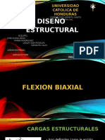 Flexion Biaxial