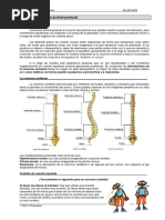 TEMA 4.la Correcta Actitud Postural