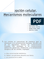 09 Recepción Celular - Mecanismos Moleculares