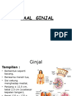 Faal Ginjal