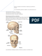 Tipos de Articulacion y Movimientos