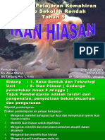 Ikan Hiasan2