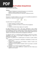 Practica 2. Bacter Pruebas Bioquimicas