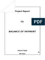 Balance of Payment: Project Report