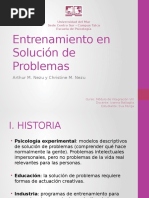 Entrenamiento en Solución de Problemas