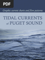 Tidal Currents Puget