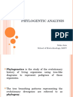 Phylogeny