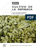 Cultivo de La Espinaca