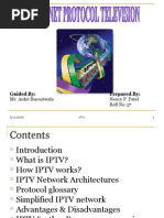 Internet Protocol Television (Iptv)