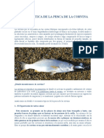 Guía Práctica de La Pesca de La Corvina