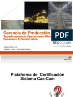 Plataforma de Certificación Cas-Cam PDF