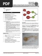 Pharmacology - Nsaids, Opioids Analgesics, Anti-Gout Drugs 2014a