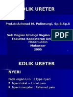 Kolik Ureter