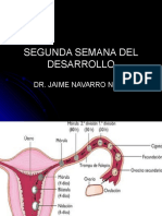 Segunda Semana Del Desarrollo Nuevo