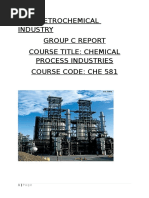 Group C Presentation - Petrochemicals (UPDATED)