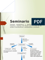 Seminario Ciclo de Krebs