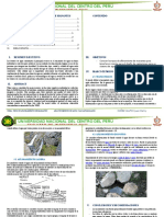 CAPITULO 4.1 - Tipos de Afloramiento