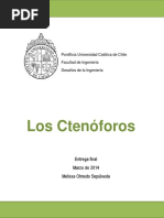 Ctenoforos