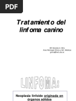 Tratamiento Linfoma Canino