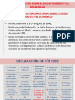 de La Declaración de Rio