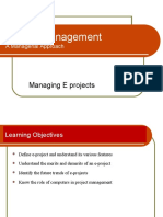 Project Management: Managing E Projects