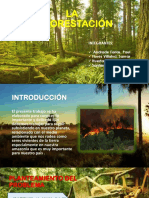 La Deforestación