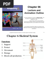 Seeley's Chapter 6 Skeletal System