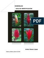 Guia de Identificacion de - Heliconia