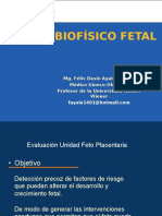 Clase 6 Perfil Biofisico Fetasdal