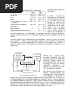 El Metabolismo Global de Elementos