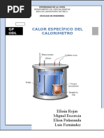 Calor Especifico Del Calorimetro