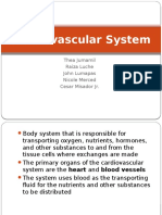 Cardiovascular System 