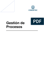 Manual de Gestión de Procesos Cibertec